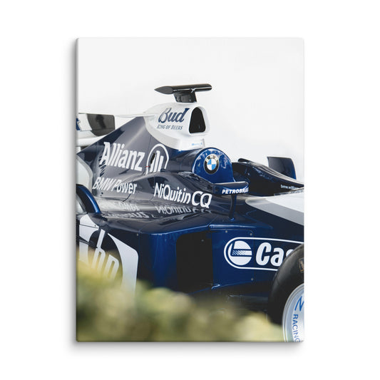 Williams FW25 Canvas 30x40 Inches